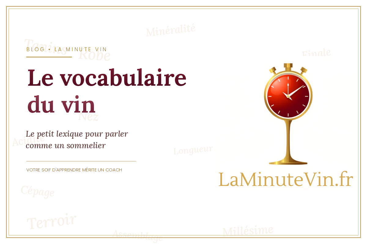 Le vocabulaire du vin — La Minute Vin